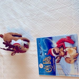 Elf on the shelf a reindeer tradition